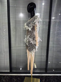Sparkly Silver Diamond 3D Butterfly Sheer See Through Bodycon Jumpsuit Eveing Party Birthday Bar Nightclub Sexy Stage Costumes