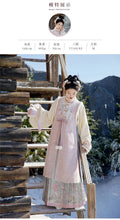 Ming Dynasty Autumn Winter Hanfu Chinese Dress Women's Clothing Horse Face Skirt Set Original Hanfu Cosplay Party Princess