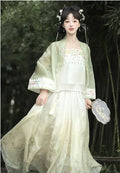 Olive Girl Purple Hanfu Dress Everyday Wear 2026 S-XL XS-3XL Plus Size Not Costume Hanfu Chinese Dress Traditional Chinese Clothing Chinese Heritage Fashion Women