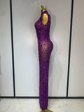Sparkly Gold Rhinestone Sleeveless Stretch Long Dress Women Sexy Mesh Celebrate Evening Prom Birthday Dress Photo Shoot Wear