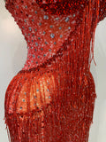 Shining Rhinestones Bodycon Long Dress Women Sexy Transparent Elagant Evening Party Birthday Prom Dress Photo Shoot Outfit