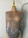 Women Sparkly Crystal Pearl Tassels Sexy Sheer See Through Bodycon Mini Silver Outfit Birthday Dress Dancer Performance Costume