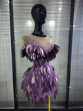 Purple Color Women Sexy Shining Rhinestones Mesh See Through Bodycon Mini Dress Sequined Celebrate Nightclub Party Birthday Wear