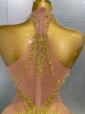 Sparkly Rhinestones Sexy Mesh See Through Dress Party Evening Prom Celebrate Birthday Dress Singer Dancer Show Stage Wear