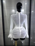Women Long Sleeve Mesh See Through Bodycon Mini Dress Celebrate Vacation Beach Style Birthday Party Outfit