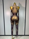 Sparkly Rhinestone Sexy Mesh Bodycon Jumpsuit Nightclub Bar Evening Party Gogo Dancer Clothing Drag Queen Outfit Stage Costume