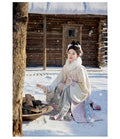 Ming Dynasty Autumn Winter Hanfu Chinese Dress Women's Clothing Horse Face Skirt Set Original Hanfu Cosplay Party Princess