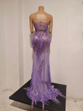 Sexy Sparkly Purple Diamond Tassel Strapless Mesh See Through Long Dress Birthday Evening Party Nightclub Bar DJ Show Stage Wear