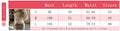 Elegant One Shoulder Beige Knitted Sweater Women's Pull Waist Off-Shoulder Sweatshirt Jumper Pullovers Clothes Autumn Winter New