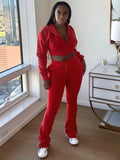 Casual Simple Women 2 Piece Set Pocket Hooded Zip Crop Jacket+Pants Sporty Matching Streetwear Skinny Basic Outfits