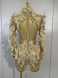 Sexy Embroidery Sequins Sparkly Diamonds Long Sleeves Mesh Mini Dress Birthday Evening Party PhotoShoot Nightclub Stage Costume