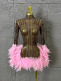 Red Pink Slim-fit Feather-Trimmed Sheer Dress Sexy Performance Costume Dance Party Singer Stage Nightclub Luxury Outfit