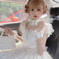 Olive Girl Black Dramatic Lolita Dress for Ren Faire 2026 Fairycore Photoshoot Everyday Wear S-L XS-3XL Plus Size Dramatic Silhouette Romantic Cottagecore Garden Party Editorial Not Costume Lolita Dress Chinese Heritage Fashion Women
