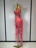 Shining Rhinestone Tassel Mesh See Through Dress Singer Outfit Women Evening Party Brthday Club Stage Performance Outfit