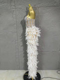 Sparkle Rhinestone Feather Sexy Mesh Long Dress Evening Party Birthday Performance Photoshoot Red Carpet Costume