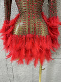 Red Pink Slim-fit Feather-Trimmed Sheer Dress Sexy Performance Costume Dance Party Singer Stage Nightclub Luxury Outfit