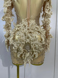 Sexy Embroidery Sequins Sparkly Diamonds Long Sleeves Mesh Mini Dress Birthday Evening Party PhotoShoot Nightclub Stage Costume