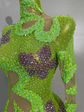 Women Eveing Party Nightclub Bar Stage Phootshoot Outfits Sexy Sparkly Diamonds Sequin Long Sleeves Mesh Transparent Mini Dress