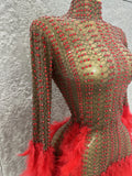 Red Pink Slim-fit Feather-Trimmed Sheer Dress Sexy Performance Costume Dance Party Singer Stage Nightclub Luxury Outfit