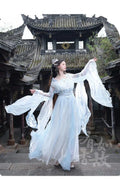 Olive Girl Blue Embroidered Hanfu Dress for Ren Faire 2026 Garden Wedding Fairycore Photoshoot Everyday Wear S-L XS-3XL Plus Size Chinese Heritage Fashion Women