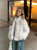 Winter Faux Fur Long Sleeves Short Coat Women Luxury Stand Collar Fluffy Furry Jacket Warm Elegant Lady Fashion Plush Coats 2026