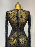 Luxury Rhinestones Mesh Bodycon Long Dress Celebrate Birthday Party Photo Shoot Long Sleeve Performance Costume Stage Outfit