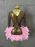 Red Pink Slim-fit Feather-Trimmed Sheer Dress Sexy Performance Costume Dance Party Singer Stage Nightclub Luxury Outfit