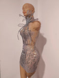 Luxury Silver Allover Rhinestone Mesh Dress Statement Choker Vertical Crystal Design Formal Events Photoshoots and Red Carpet