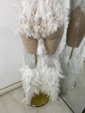 Women Sexy Luxury Rhinestone Mesh Feather Sheer See Through Long Celebrity Birthday Dress Cocktail Nightclub Performance Costume