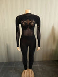 Wild See Through 2 Piece Set Women Sexy Jacquard Mesh Full  Sleeve Crop Top+Line Print Pants Stretch Club Streetwear