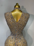 Sparkly Gold Rhinestone Sleeveless Stretch Long Dress Women Sexy Mesh Celebrate Evening Prom Birthday Dress Photo Shoot Wear