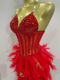 Sparkly Rhinestones Feathers Long Tail Bodysuits Sexy Mesh Transparent Stage Dress Evening Party Celebrate Luxury Birthday Dress