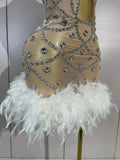 Luxury Nightclub Performance Dance Costume Nightclub Singer Stage Wear Women Sexy Shiny Crystal Feathers Hollow Out Mini Dress