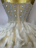 Women Sexy Elegant Evening Party Luxury Birthday Photo Shoot Performance Costume Sparkly Rhinestone Feather Mesh Long Dress