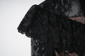 2026 New Elegant Design Sense Flare Sleeve Stand Collar Ruffle Lace Slim Long Dress Women's Wedding Banquet Festival Gown