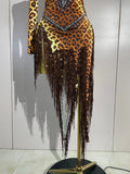 Sexy Leopard Print Stretch Dress Women Sparkly Rhinestones Tassel One Shoulder Latin Dance Outfits Nightclub Party Stage Costume
