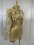 Sexy Embroidery Sequins Sparkly Diamonds Long Sleeves Mesh Mini Dress Birthday Evening Party PhotoShoot Nightclub Stage Costume