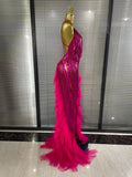 Sparkly Rhinestones Tassel Sheer Dress for Women Sexy V Neck Birthday Celebrate Event Outfit Singer Show Wear Photo Shoot Dress