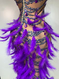 Sparkly Rhinestones Feather Sexy Bodycon Long Dress Women Luxury Birthday Evening Party Fashion Show Nightclub Stage Costume