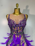 Sparkly Rhinestones Feather Sexy Bodycon Long Dress Women Luxury Birthday Evening Party Fashion Show Nightclub Stage Costume