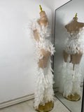 Women Sexy Luxury Rhinestone Mesh Feather Sheer See Through Long Celebrity Birthday Dress Cocktail Nightclub Performance Costume