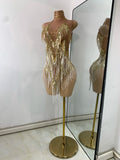Luxury Sequins Tassel Short Dress For Women Sexy Sleeveless Mesh Transparent Music Festival Clothes Stage Wear