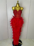 Women Sexy Elegant Evening Party Luxury Birthday Photo Shoot Performance Costume Sparkly Rhinestone Feather Mesh Long Dress