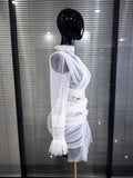Women Long Sleeve Mesh See Through Bodycon Mini Dress Celebrate Vacation Beach Style Birthday Party Outfit