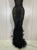 Luxury Sparkly Red Rhinestones Feather Sexy Mesh See Through Long Dress Women Birthday Evening Nightclub DJ Dancer Stage Costume