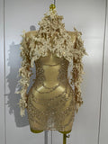 Sexy Embroidery Sequins Sparkly Diamonds Long Sleeves Mesh Mini Dress Birthday Evening Party PhotoShoot Nightclub Stage Costume