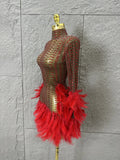 Red Pink Slim-fit Feather-Trimmed Sheer Dress Sexy Performance Costume Dance Party Singer Stage Nightclub Luxury Outfit