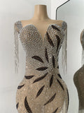 Sparkly Rhinestones Fringes Mesh See Through Maxi Dress Women Elegant Gowns Stage Night Club Celebrate Performance Costume