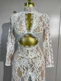 Women Long Sleeve Evening Party Club Bar Birthday Celebrity Gowns Sexy White Lace High Neck Hollow Out Design Bodycon Long Dress