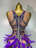 Sparkly Rhinestones Feather Sexy Bodycon Long Dress Women Luxury Birthday Evening Party Fashion Show Nightclub Stage Costume